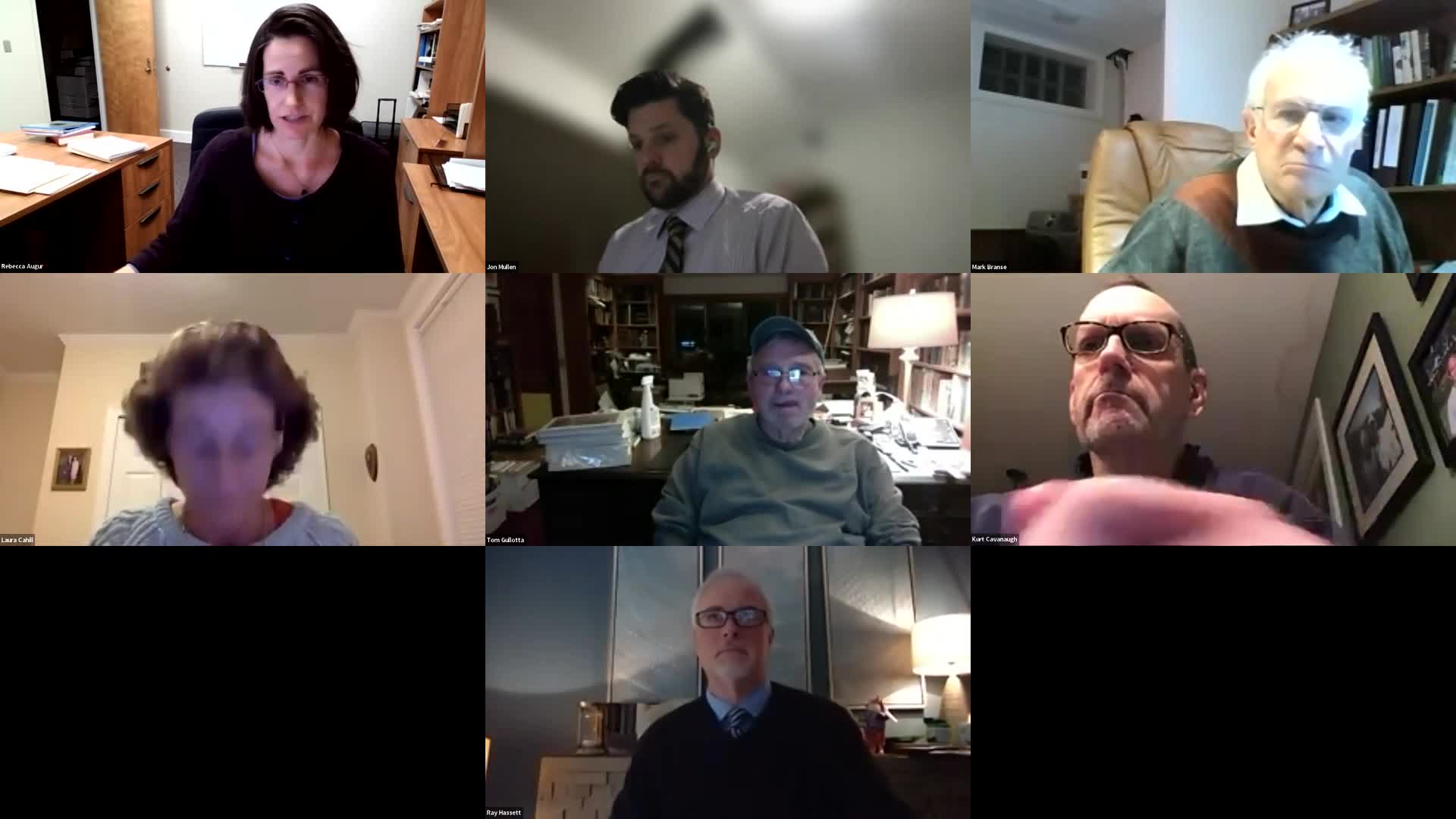 Council/TP&Z Building Zone Regulations Working Group Meeting 1/10/2022